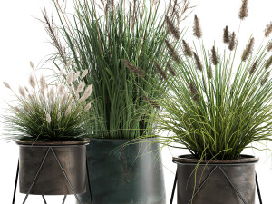 reeds in a rusty flowerpot for the interior 979 3D Model