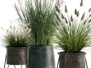 reeds in a rusty flowerpot for the interior 979 3D Model