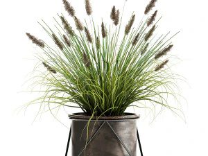reeds in a rusty flowerpot for the interior 979 3D Model