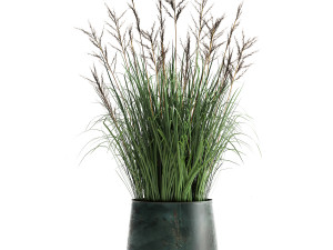 reeds in a rusty flowerpot for the interior 979 3D Model