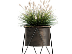 reeds in a rusty flowerpot for the interior 979 3D Model
