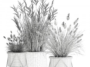 reeds in a rusty flowerpot for the interior 979 3D Model