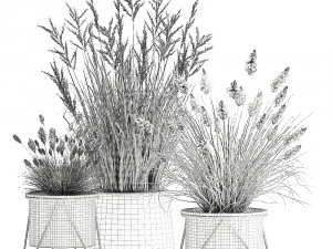 reeds in a rusty flowerpot for the interior 979 3D Model