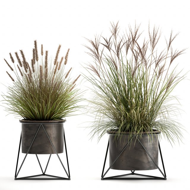reeds in a rusty flowerpot for the interior 980 3D 모델 .c4d .max .obj .3ds .fbx .stl .blend 