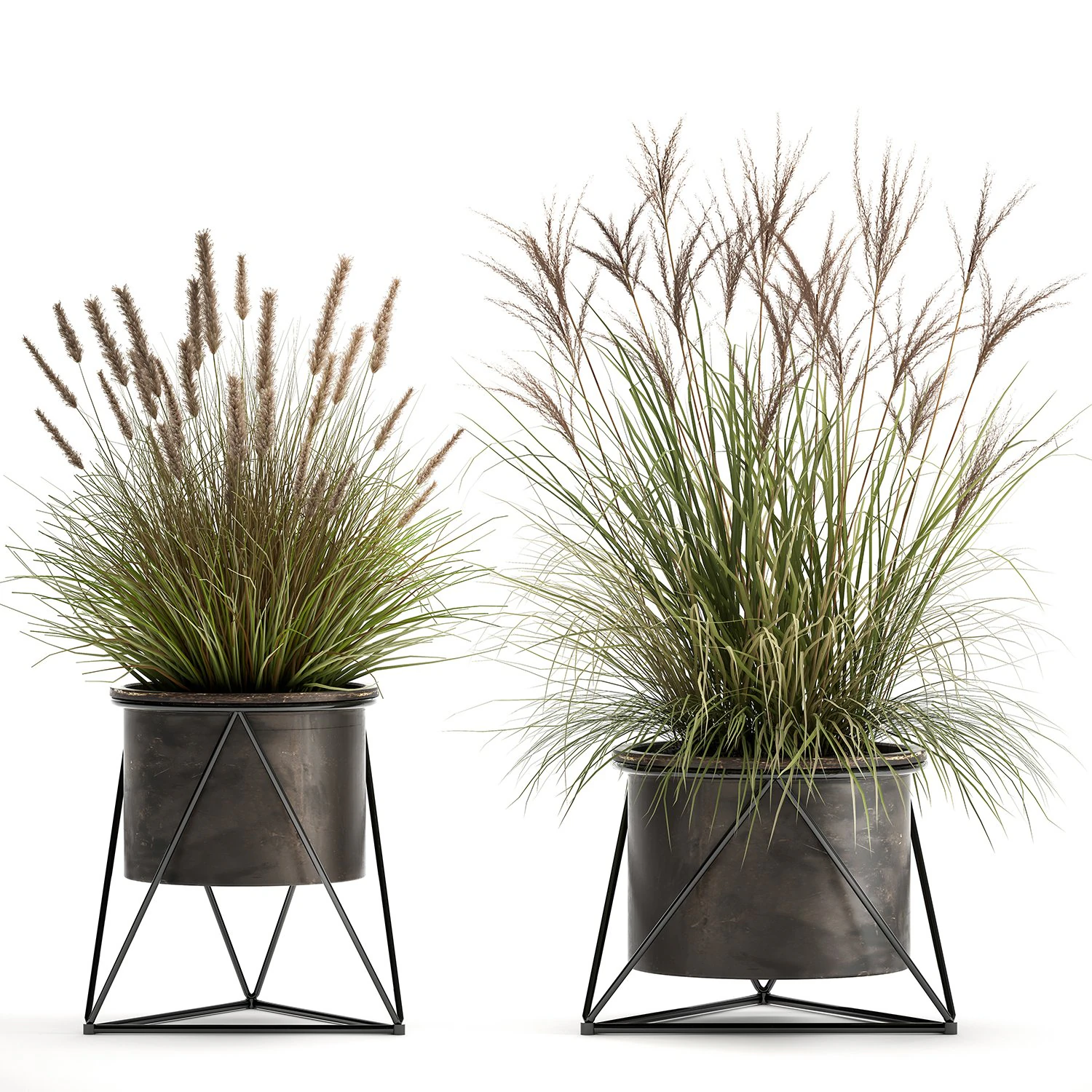 reeds in a rusty flowerpot for the interior 980 3D Model .c4d .max .obj .3ds .fbx .stl .blend 