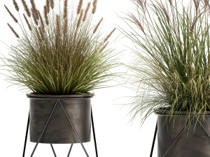 reeds in a rusty flowerpot for the interior 980 3D Model