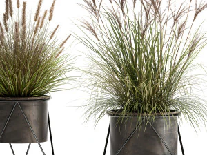 reeds in a rusty flowerpot for the interior 980 3D Model