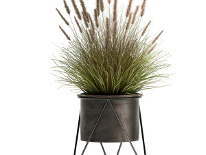 reeds in a rusty flowerpot for the interior 980 3D Model