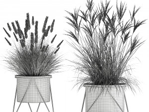reeds in a rusty flowerpot for the interior 980 3D 모델