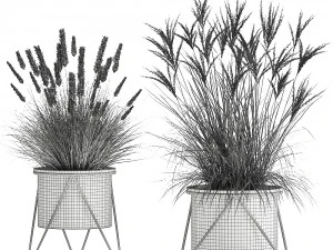 reeds in a rusty flowerpot for the interior 980 3D Model