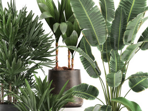 houseplants in a rust flowerpot for the interior 981 Modèle 3D