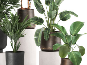houseplants in a rust flowerpot for the interior 981 Modèle 3D