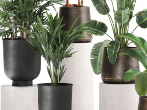 houseplants in a rust flowerpot for the interior 981 Modèle 3D