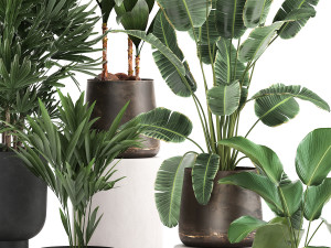 houseplants in a rust flowerpot for the interior 981 Modèle 3D