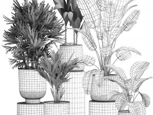 houseplants in a rust flowerpot for the interior 981 Modèle 3D