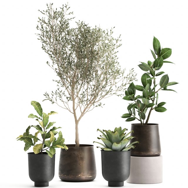 houseplants in a rust flowerpot for the interior 982 3D Модель .c4d .max .obj .3ds .fbx .stl .blend 