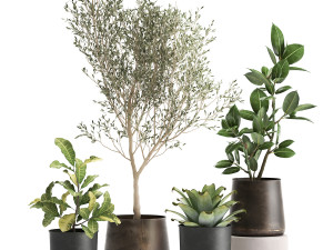 houseplants in a rust flowerpot for the interior 982 3D Model