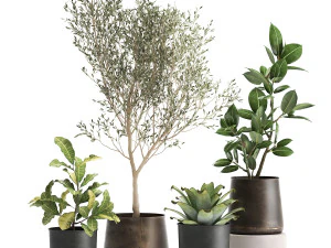 plantas de casa em um vaso de ferrugem para o interior 982 Modelo 3D