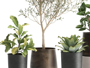 houseplants in a rust flowerpot for the interior 982 3D Модель