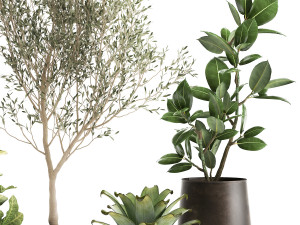 houseplants in a rust flowerpot for the interior 982 3D Модель