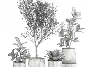 houseplants in a rust flowerpot for the interior 982 3D Модель