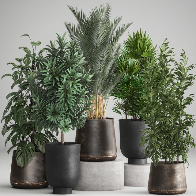 houseplants in a rust flowerpot for the interior 983 3Dモデル .c4d .max .obj .3ds .fbx .stl .blend 