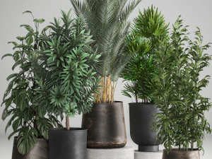 plantas de casa em um vaso de ferrugem para o interior 983 Modelo 3D