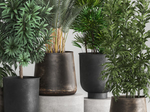 houseplants in a rust flowerpot for the interior 983 3Dモデル