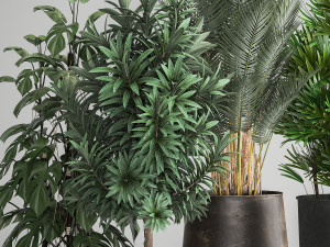houseplants in a rust flowerpot for the interior 983 3Dモデル