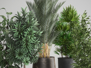 houseplants in a rust flowerpot for the interior 983 3Dモデル