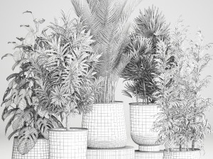houseplants in a rust flowerpot for the interior 983 3Dモデル