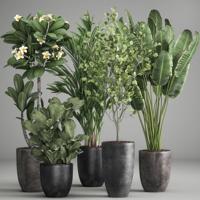 houseplants in a rust flowerpot for the interior 984 3D Model .c4d .max .obj .3ds .fbx .stl .blend 