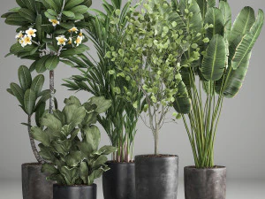 आंतरिक भाग के लिए जंग वाले फूल के गमले में हाउसप्लांट 984 3D मॉडल