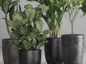 houseplants in a rust flowerpot for the interior 984 3D Model