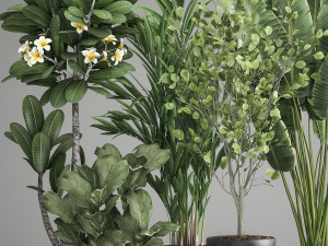 houseplants in a rust flowerpot for the interior 984 3D Model