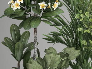 houseplants in a rust flowerpot for the interior 984 3D Model