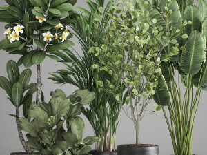 houseplants in a rust flowerpot for the interior 984 3D Model