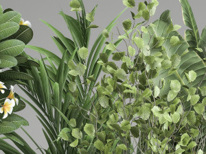 houseplants in a rust flowerpot for the interior 984 3D Model