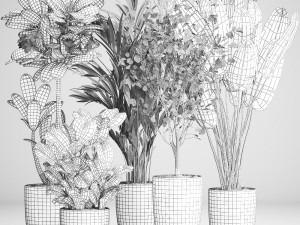 houseplants in a rust flowerpot for the interior 984 3D Model