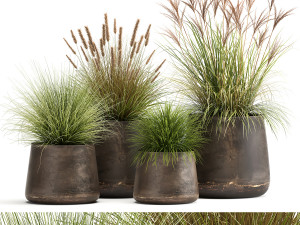 reeds in a rusty flowerpot for the interior 988 3D Model
