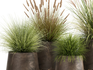 reeds in a rusty flowerpot for the interior 988 Modello 3D