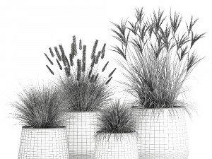 reeds in a rusty flowerpot for the interior 988 Modello 3D