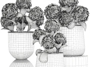 hydrangea in a rusty flowerpot for the interior 987 3D Model