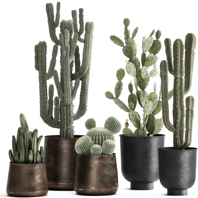 cactus set in a rusty flowerpot for the interior 992 Modelo 3D .c4d .max .obj .3ds .fbx .stl .blend 