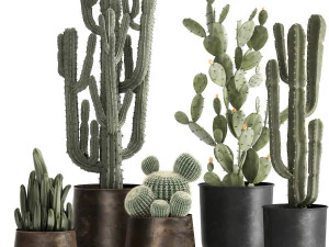 インテリア用の錆びた植木鉢にセットされたサボテン 992 3Dモデル