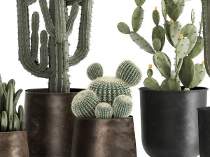 cactus set in a rusty flowerpot for the interior 992 Modelo 3D