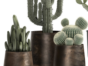 cactus set in a rusty flowerpot for the interior 992 Modelo 3D