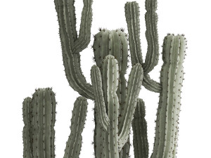 cactus set in a rusty flowerpot for the interior 992 Modelo 3D