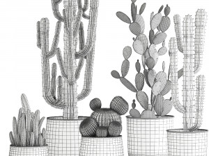 cactus set in a rusty flowerpot for the interior 992 Modelo 3D