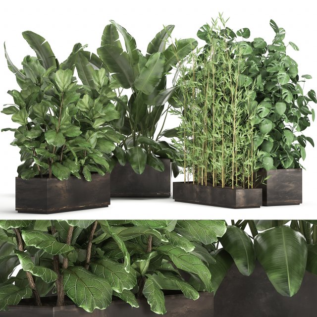 exotic plants in a rusty flowerpot for the interior 993 3D-Modell .c4d .max .obj .3ds .fbx .stl .blend 